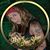 Annie Bagdasarian's profile image