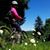 Amy Somerville's profile image