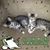 Jeri Taylor Walker's profile image