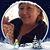 Karen D. Smith's profile image