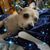 Casper St's profile image