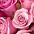 Cintya Alexandra's profile image