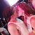 Susan Dennise Price's profile image