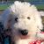 Amy Pokrzywinski's profile image