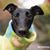 Bruce Caplin's profile image