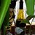 Kathleen Swoboda's profile image