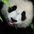Tammy Phillips's profile image