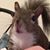 Slynn Lindsay's profile image