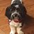 Michael-Angelia Cartwright's profile image