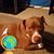 Reba Ham's profile image