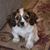 Bev Baker's profile image
