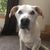 Karen Ouellette's profile image