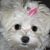 Sandra Santos's profile image