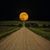 Howard Reeves's profile image
