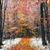 Jennifer Darland Dillon's profile image
