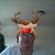 Josh Williams's profile image