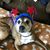 Ken Gritz's profile image