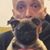 Gary Curtan's profile image
