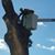 Alan Hearn's profile image