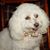 Faye Sheppard Mehallow's profile image
