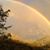 Kathy Posey Kickert's profile image