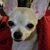Millie Hill's profile image
