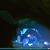 Dominick Gheesling's profile image