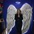 Cynthia Destefano's profile image