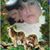 Virginia Pedraza's profile image