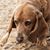 Jaye Grev Joyce's profile image