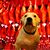 Lina Maria Siegert's profile image