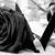 Genesis Rodriguez's profile image