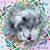 Paulette Johnston's profile image