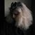 Susan Reid Shepherd's profile image