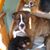 Mickie-Tom Stres's profile image