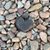 Lori Erickson Franciose's profile image