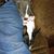 Mandy McGraw's profile image