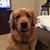 Julie Klotz's profile image