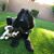 Todd Fellner's profile image
