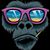 Fábio Garimpador's profile image