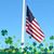 Joyce McCarthy Cogavin's profile image