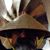 Javie Gallegos's profile image