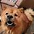 Tammy D Ollice's profile image