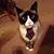 Wendy Williamson's profile image