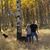 Cheryl McCall's profile image