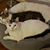 Eartha Grimes's profile image