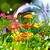 Wendy Clark Gilreath's profile image