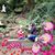 Jeannie Shain's profile image