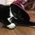 Karmin N Tony Noles's profile image
