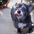 John Klinge's profile image